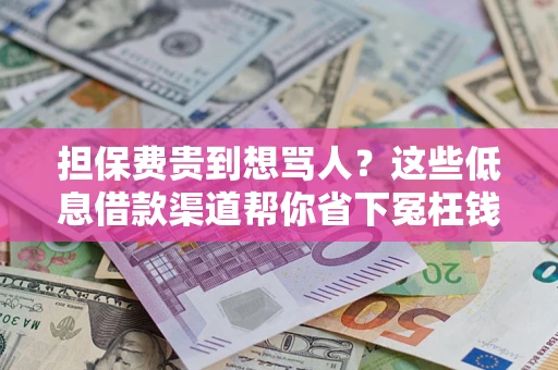 北京担保费贵到想骂人？这些低息借款渠道帮你省下冤枉钱