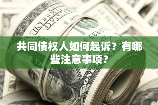 北京共同债权人如何起诉？有哪些注意事项？